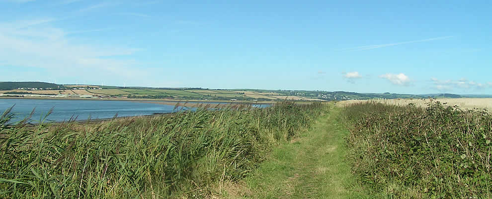 Isley Marsh Nature Reserve by the River Taw