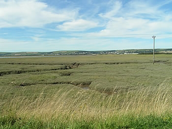 Photo Gallery Image - Isley Marsh Nature Reserve