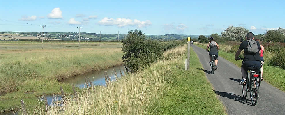 Cyclists and walkers on the Tarka Trail