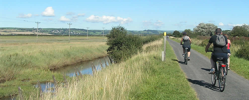 The Tarka Trail